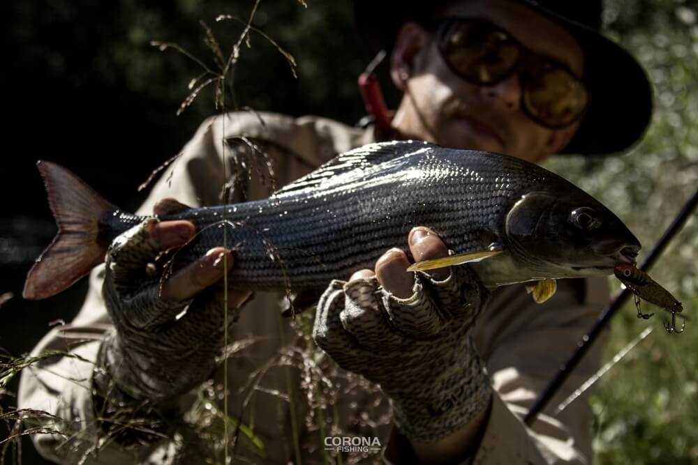 wędkarstwo skandynawia